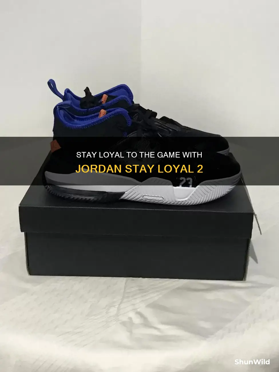 are jordan stay loyal 2 basketball shoes