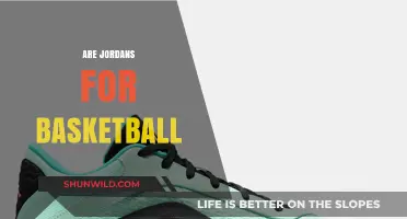 Jordan Shoes: Basketball Court to Catwalk