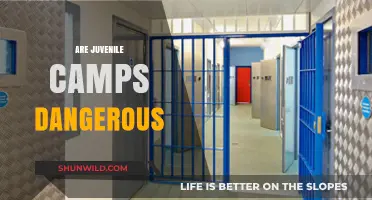 Juvenile Camps: Uncovering Potential Dangers and Safety Concerns