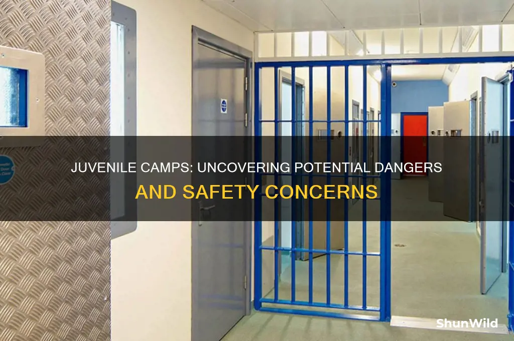 are juvenile camps dangerous