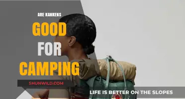 Are Kanken Backpacks Ideal for Camping Adventures? Pros and Cons