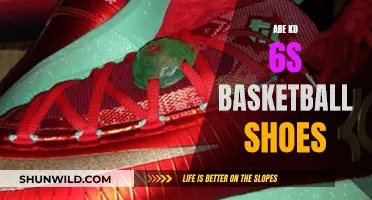 KD 6s: The Ultimate Basketball Shoes?