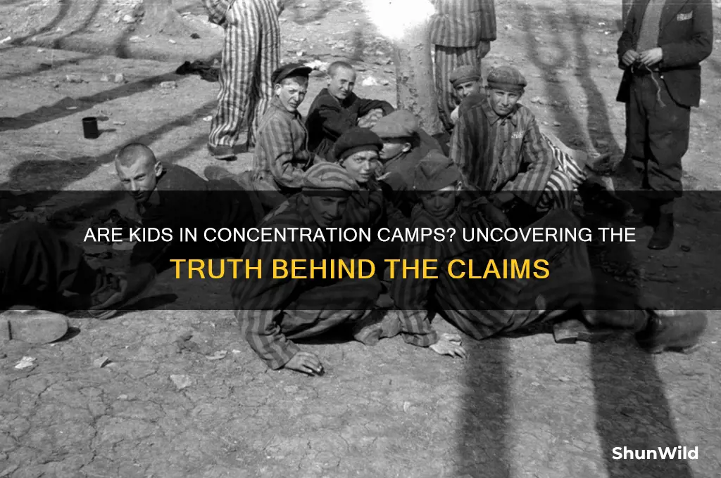are kids really in concentration camps