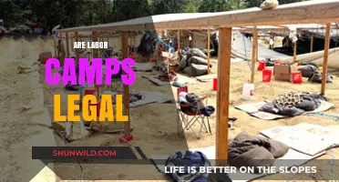 Are Labor Camps Legal? Exploring the Ethics and Legality of Forced Labor