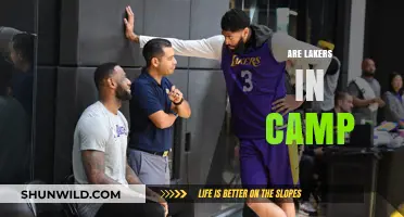 Are the Lakers in Training Camp? Latest Updates and Insights