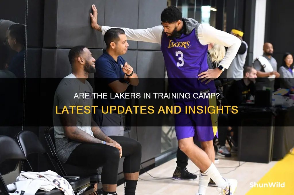 are lakers in camp