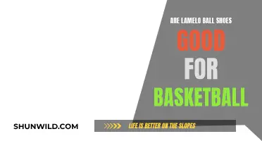 Lamelo Ball Shoes: Good for Basketball?