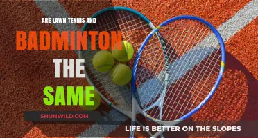 Tennis and Badminton: Are They Similar?