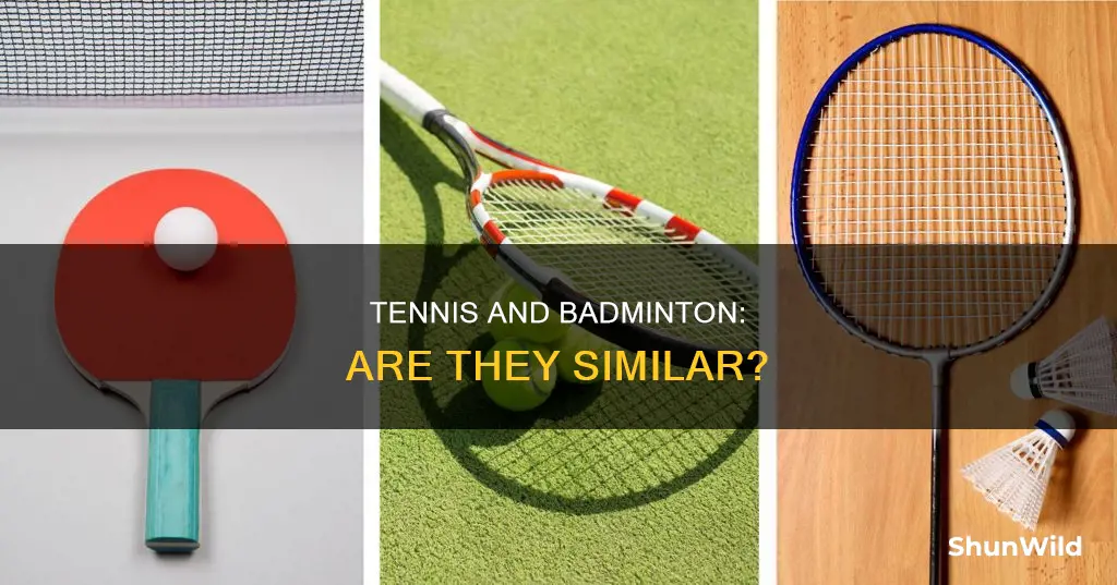 are lawn tennis and badminton the same