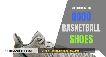 LeBron 19 Low: A Good Basketball Shoe Choice?
