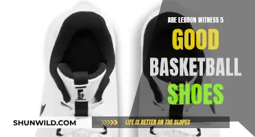 LeBron Witness 5: A Good Basketball Shoe Choice?