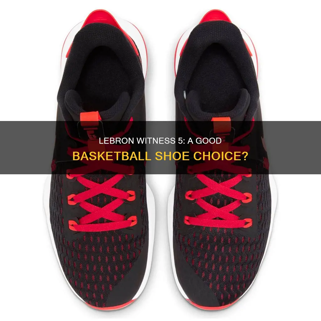 are lebron witness 5 good basketball shoes
