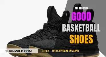 Lebron's Basketball Shoes: Are They Worth the Hype?