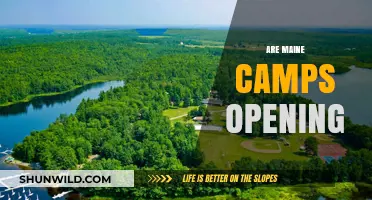 Are Maine Camps Opening This Summer? Latest Updates and Guidelines