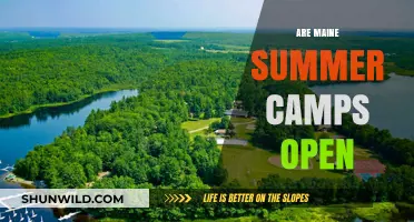 Are Maine Summer Camps Open This Year? What Parents Need to Know