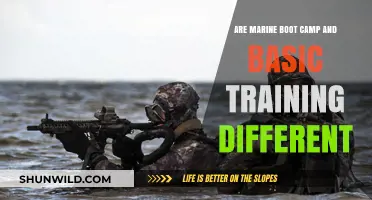 Marine Boot Camp vs. Basic Training: Key Differences Explained
