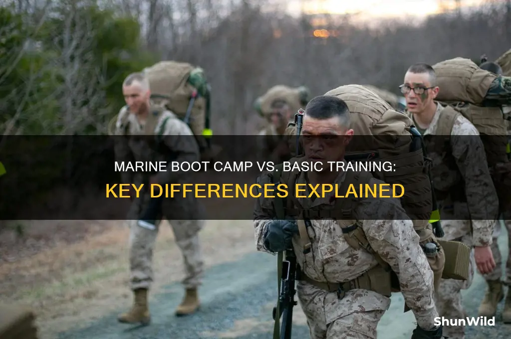 are marine boot camp and basic training different
