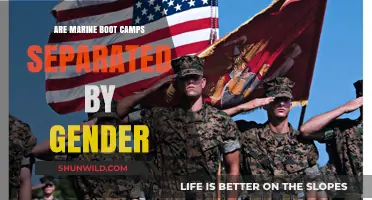 Are Marine Boot Camps Gender-Separated? Exploring Training Dynamics and Policies