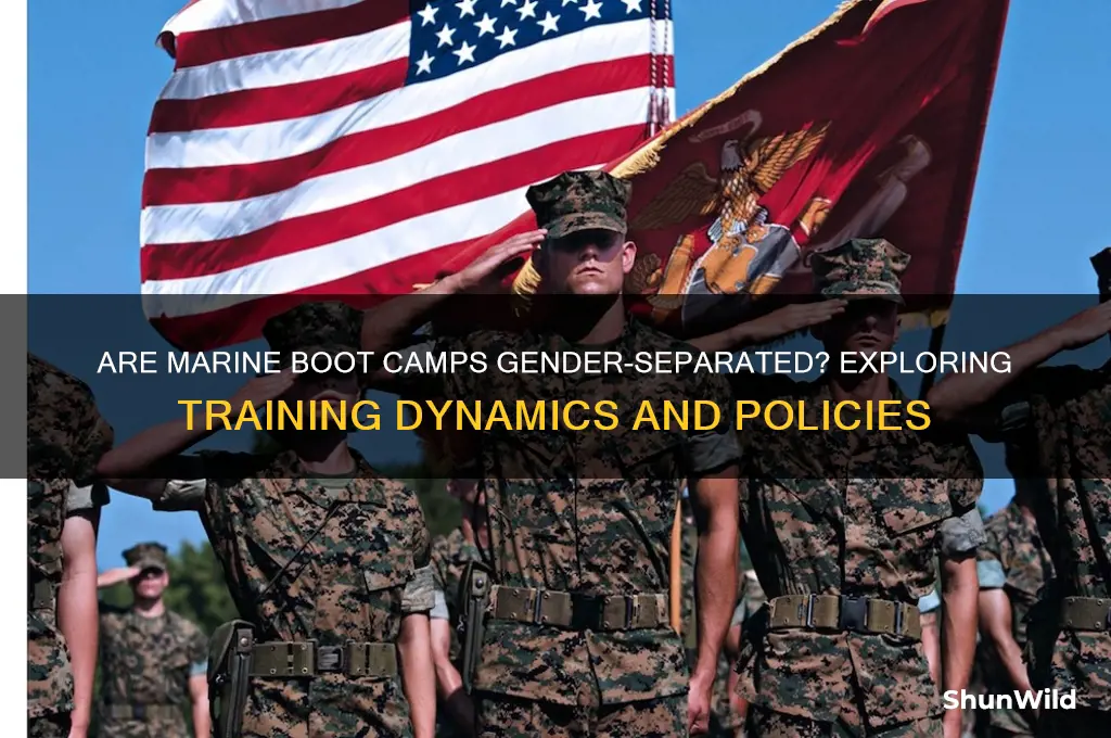 are marine boot camps separated by gender