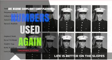 Do Marine Corps Boot Camp Platoon Numbers Get Reused Over Time?