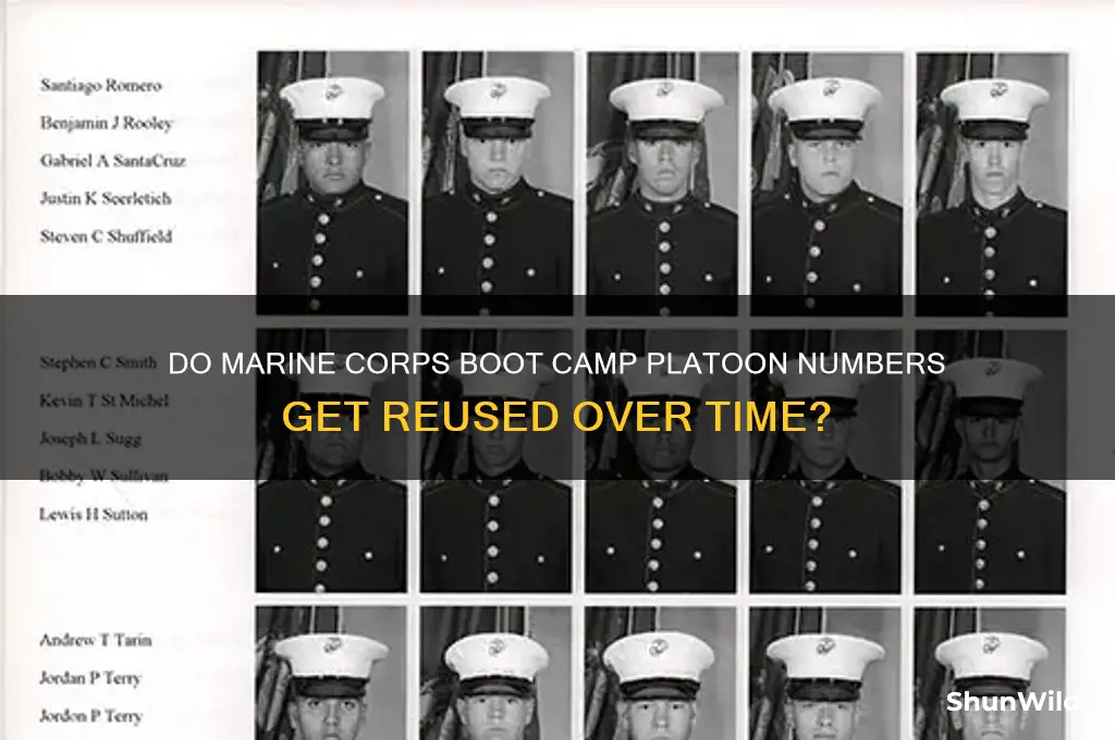 are marine corps boot camp platoon numbers used again