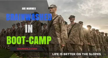 Are Marines Brainwashed in Boot Camp? Unraveling the Truth Behind Training