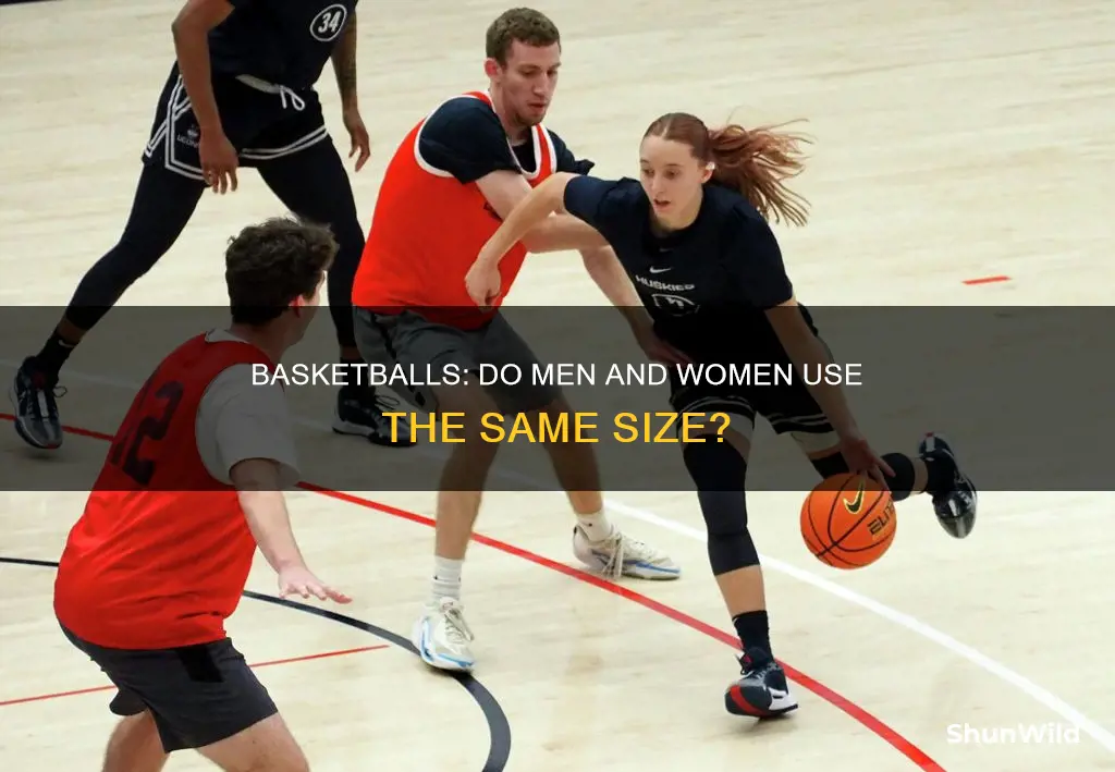 are mens and womens basketballs the same size