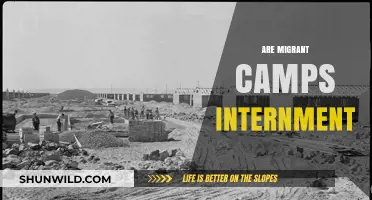 Migrant Camps vs. Internment: Examining the Legal and Ethical Boundaries