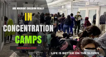 Migrant Children in Detention: Concentration Camps or Border Facilities?