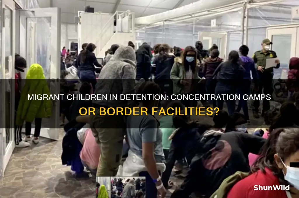 are migrant childern really in concentration camps