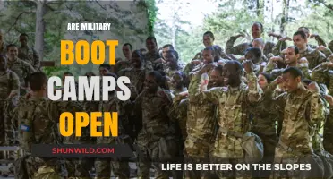 Are Military Boot Camps Open? Exploring Access and Availability Today