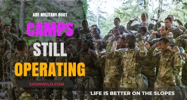 Are Military Boot Camps Still Operating Today? Exploring the Current Status