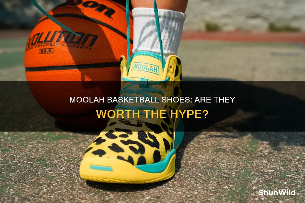 are moolah basketball shoes good