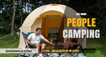 Is Camping Gaining Popularity? Trends and Insights on Outdoor Adventures