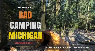 Mosquitoes in Michigan: Are They Ruining Your Camping Experience?