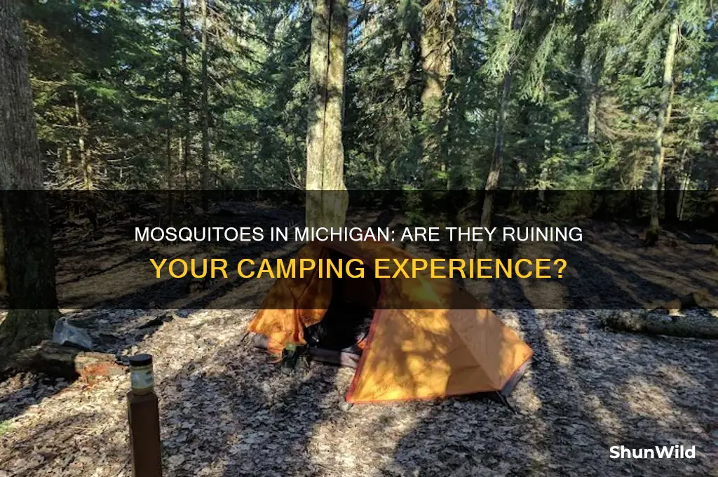 are mosquitos bad camping michigan