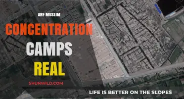 Unveiling the Truth: Muslim Concentration Camps Reality or Myth?