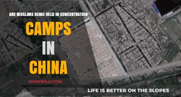 China's Uyghur Detention Camps: Concentration Camps or Re-education Centers?