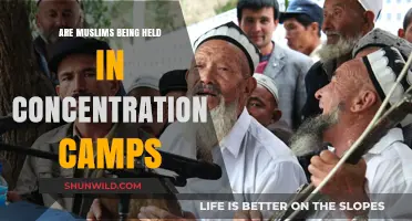 Concentration Camps in China: The Plight of Uyghur Muslims