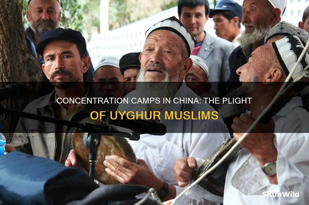 are muslims being held in concentration camps