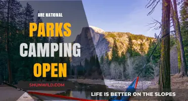 Are National Parks Campgrounds Open? A Guide to Current Status