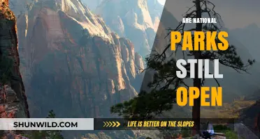 Are National Parks Still Open? Current Status and Visitor Guidelines