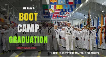 Navy Boot Camp Graduation: What to Expect and How to Prepare