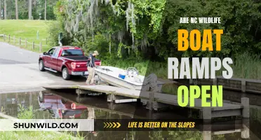 Boat Ramps in North Carolina: Open for Wildlife Adventure