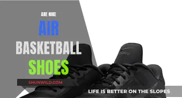 Best Basketball Shoes: Nike Air Range