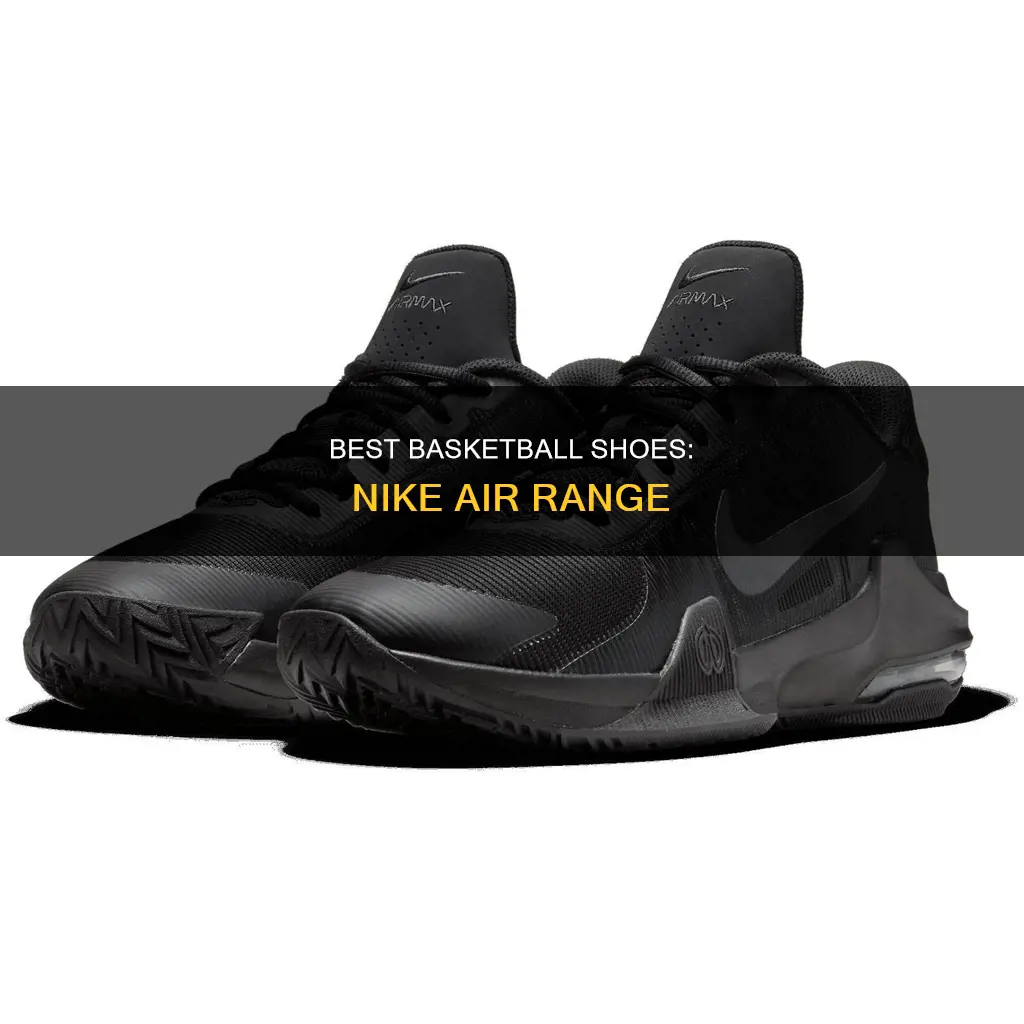 are nike air basketball shoes