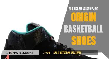 Jordan Flight Origins: Nike's Basketball Shoe Legacy