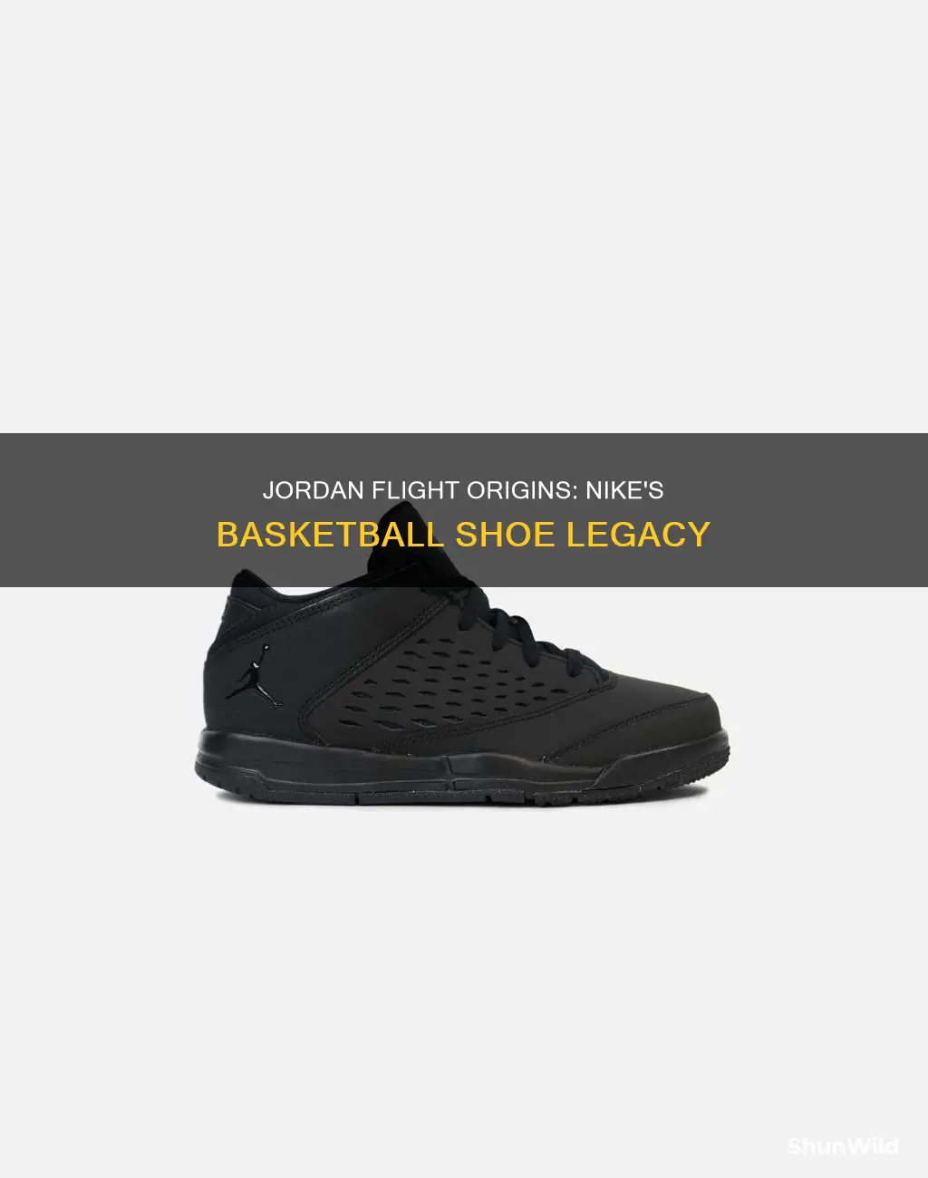 are nike air jordan flight origin basketball shoes