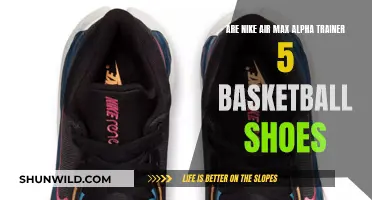 Best Basketball Shoes: Nike Air Max Alpha Trainer 5