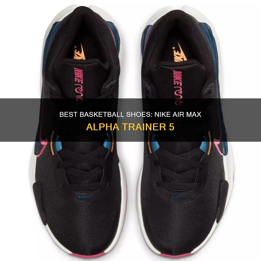 are nike air max alpha trainer 5 basketball shoes